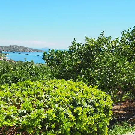 Country house Epidavros Land Christina Epidaurus