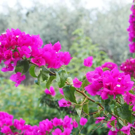 Epidavros Land Christina בית כפרי *